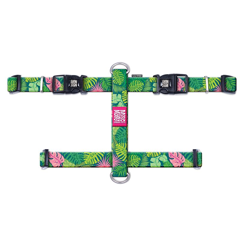 Max & Molly H-G﻿eschirr Tropical zu TOP-Preisen