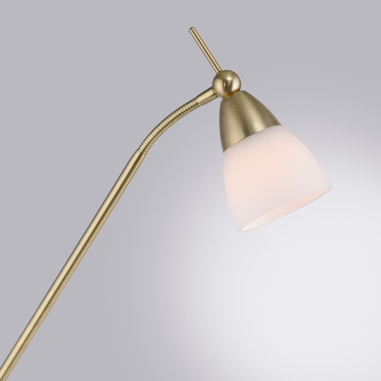 Paul Neuhaus LED Stehleuchte PINO, 1xG9/2,60Watt, 3000 Kelvin, IP20, Messing matt