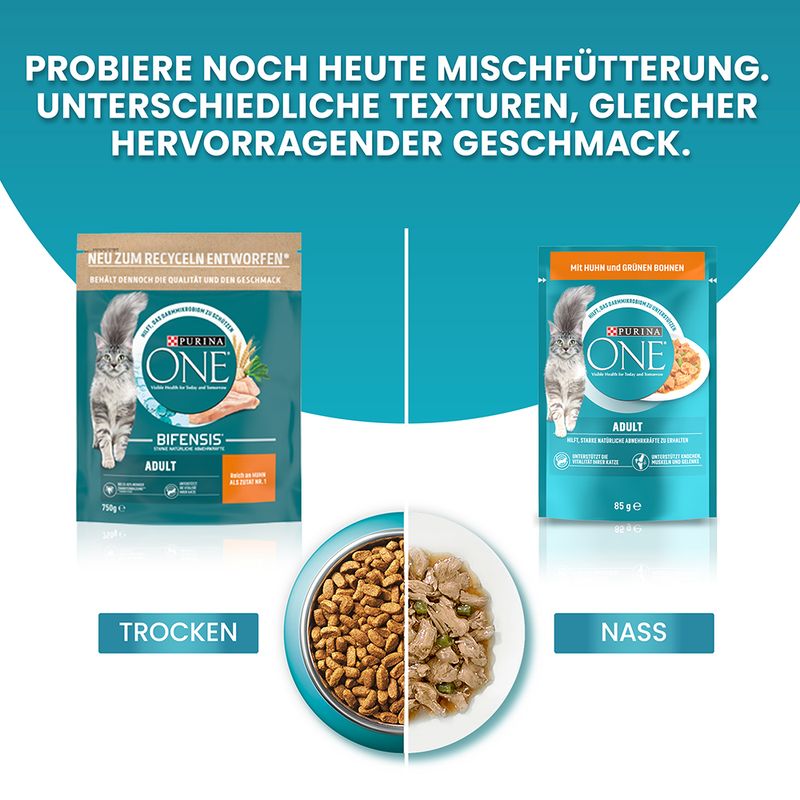 PURINA ONE Adult mit Huhn & grünen Bohnen
