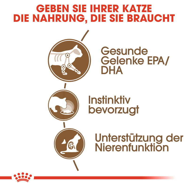 ROYAL CANIN Nassfutter ROYAL CANIN Ageing +12 12x85g in Gelee