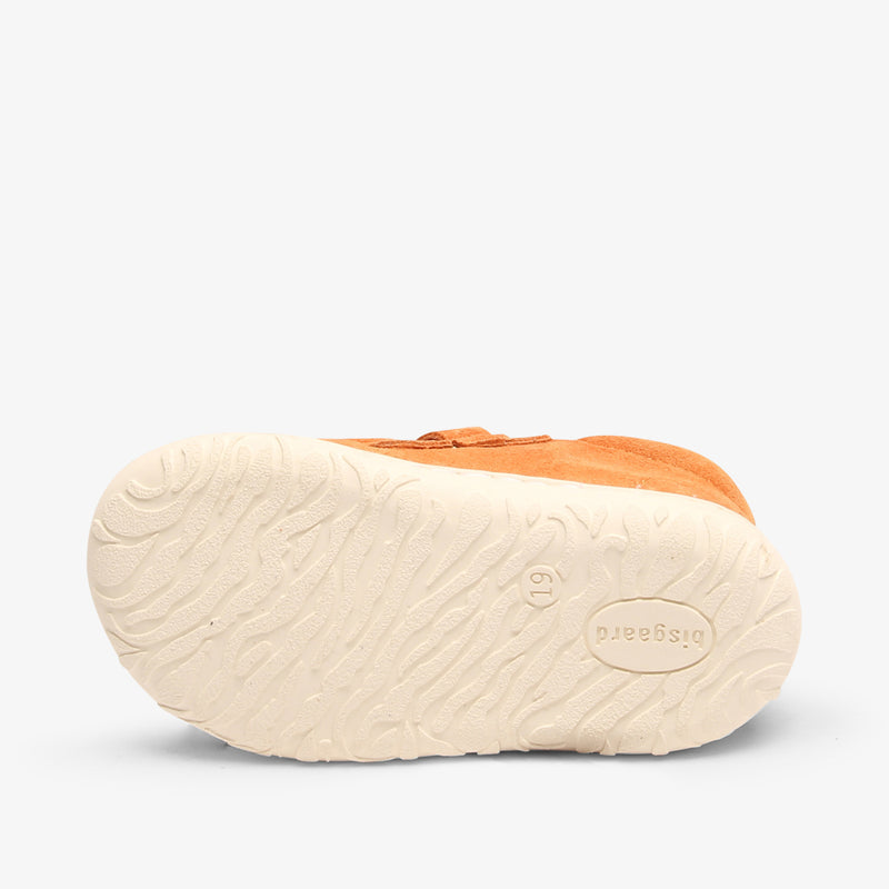 hale peach - Orange