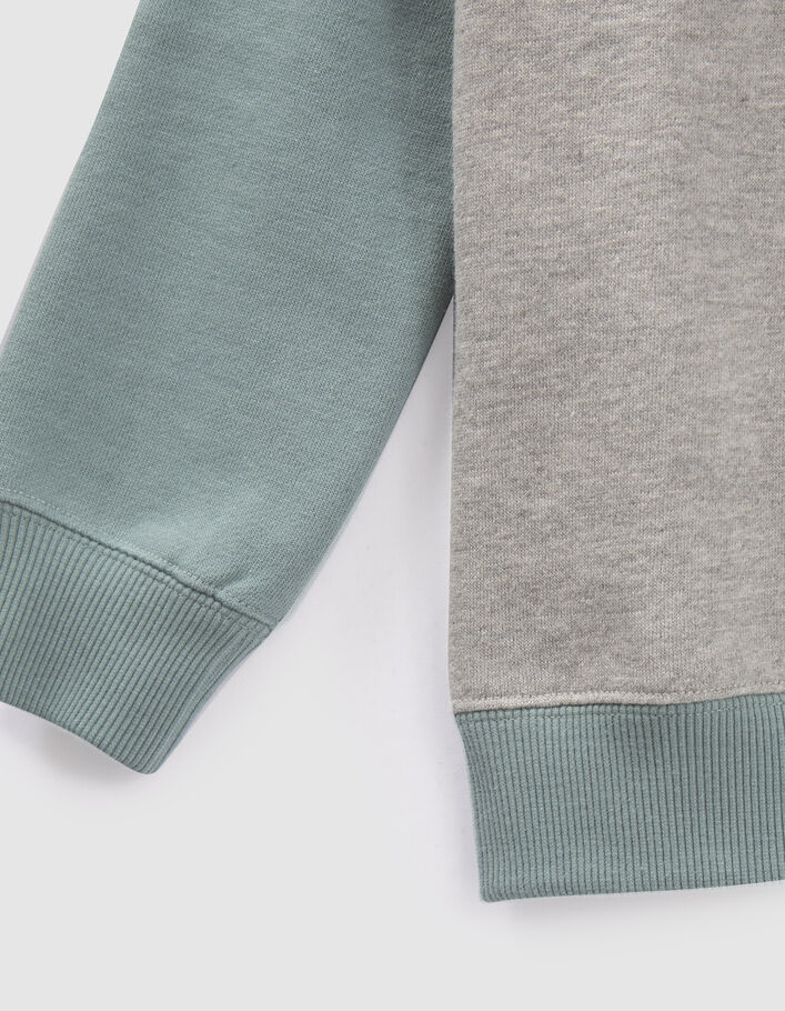 Sweat gris, vert, écru visuels en gomme garçon