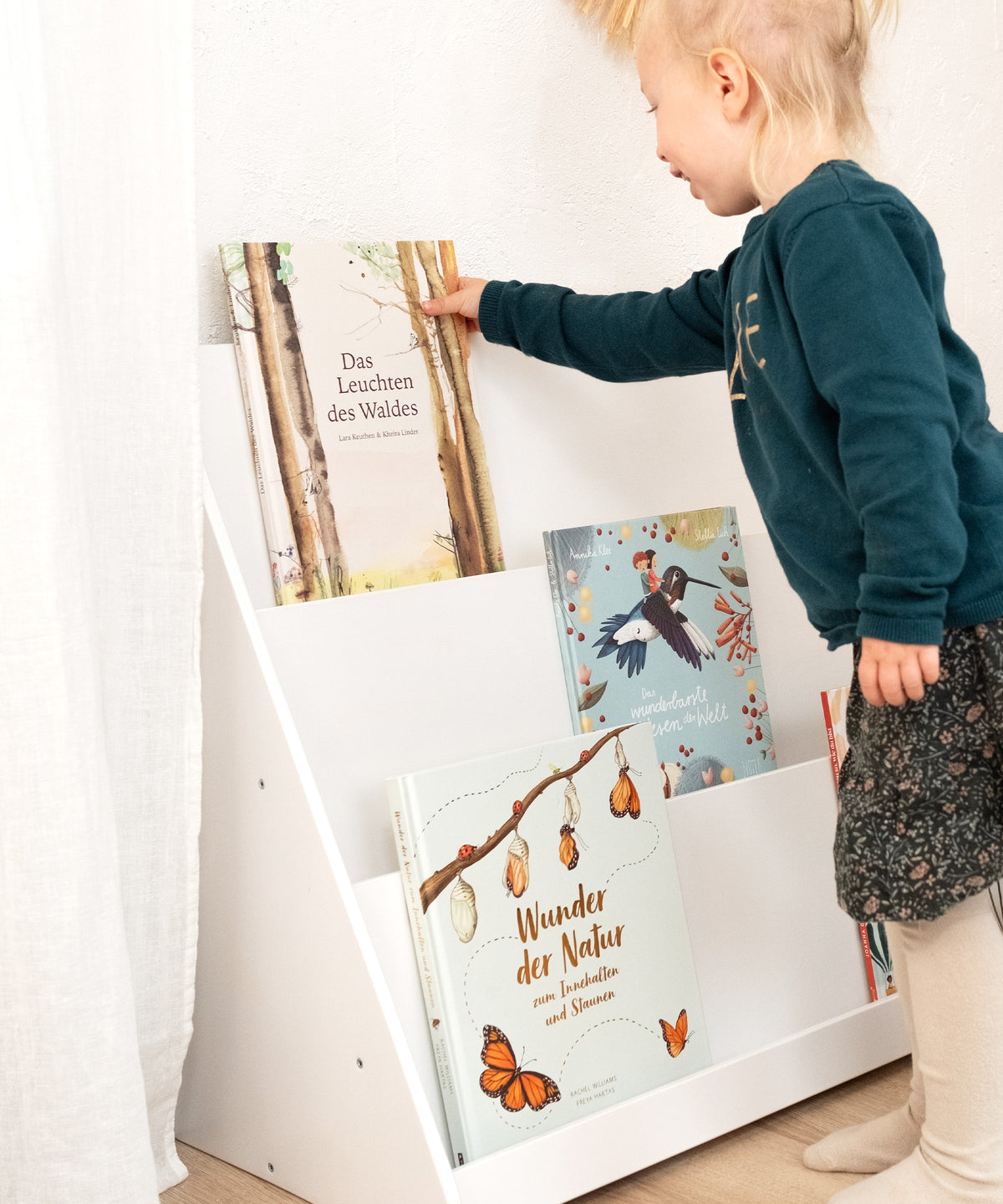 Bücherregal
