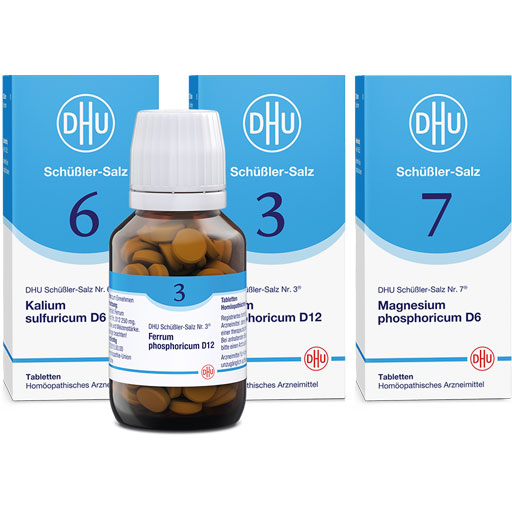 DHU Schüßler-Salze Immun-Kur  3X80 St  Tabletten