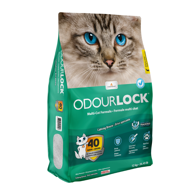 Intersand Katzenstreu Intersand ODOUR LOCK Calming Breeze 12kg