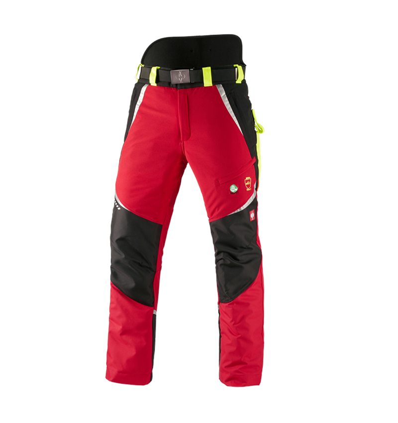 e.s. Forst-Schnittschutz Bundhose, KWF
