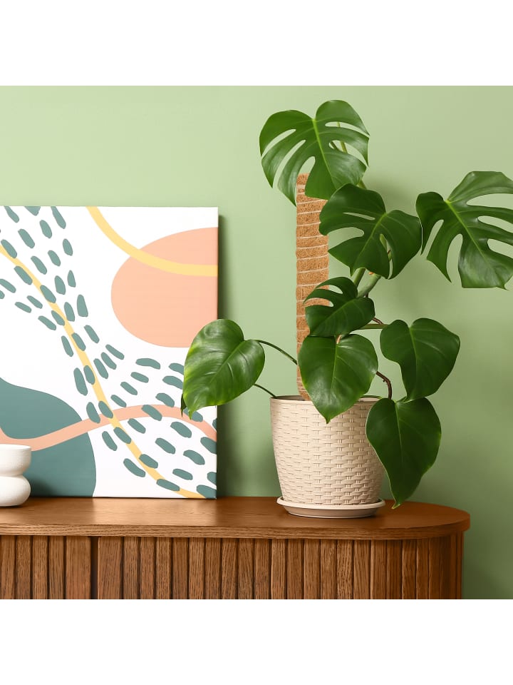 relaxdays 4 x Kokosstäbe in Natur - 40 cm günstig kaufen onesize