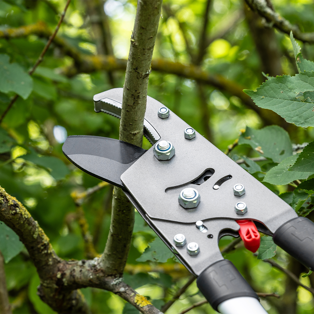Scheppach Teleskop Getriebe Ratschenschere