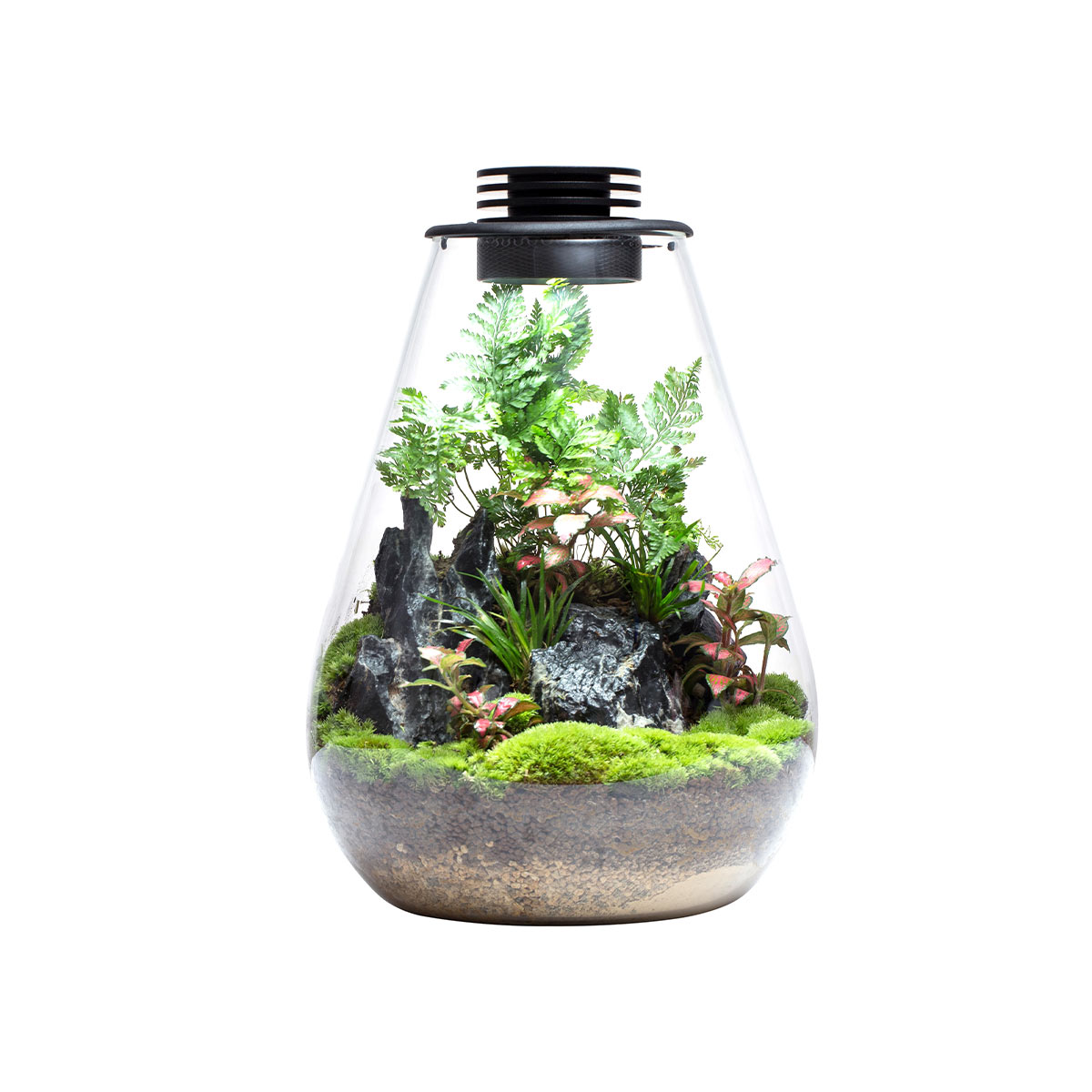 Bioloark Bio Bottle SD günstig kaufen