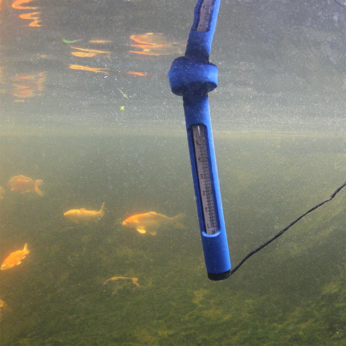 JBL Pond Schwimm-Thermometer günstig kaufen