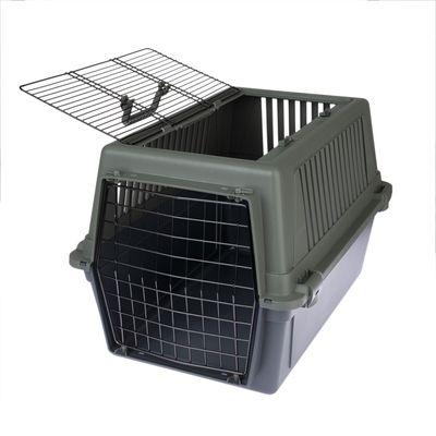 TIAKI Transportbox Verde