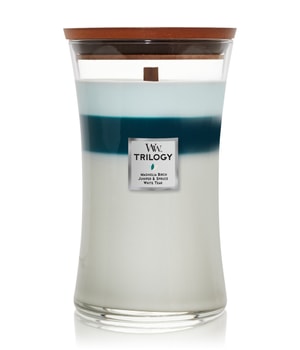 WoodWick Icy Woodland Duftkerze-275 g