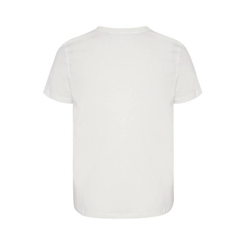 Chiemsee T-Shirt T-Shirt Herren