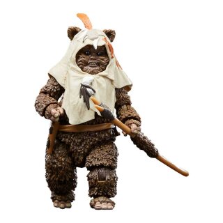 Star Wars Episode VI 40th Anniversary Black Series Actionfigur: Paploo