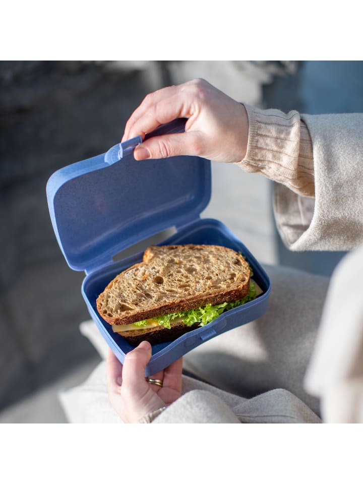 koziol BASIC - Lunchbox in organic pink günstig kaufen onesize