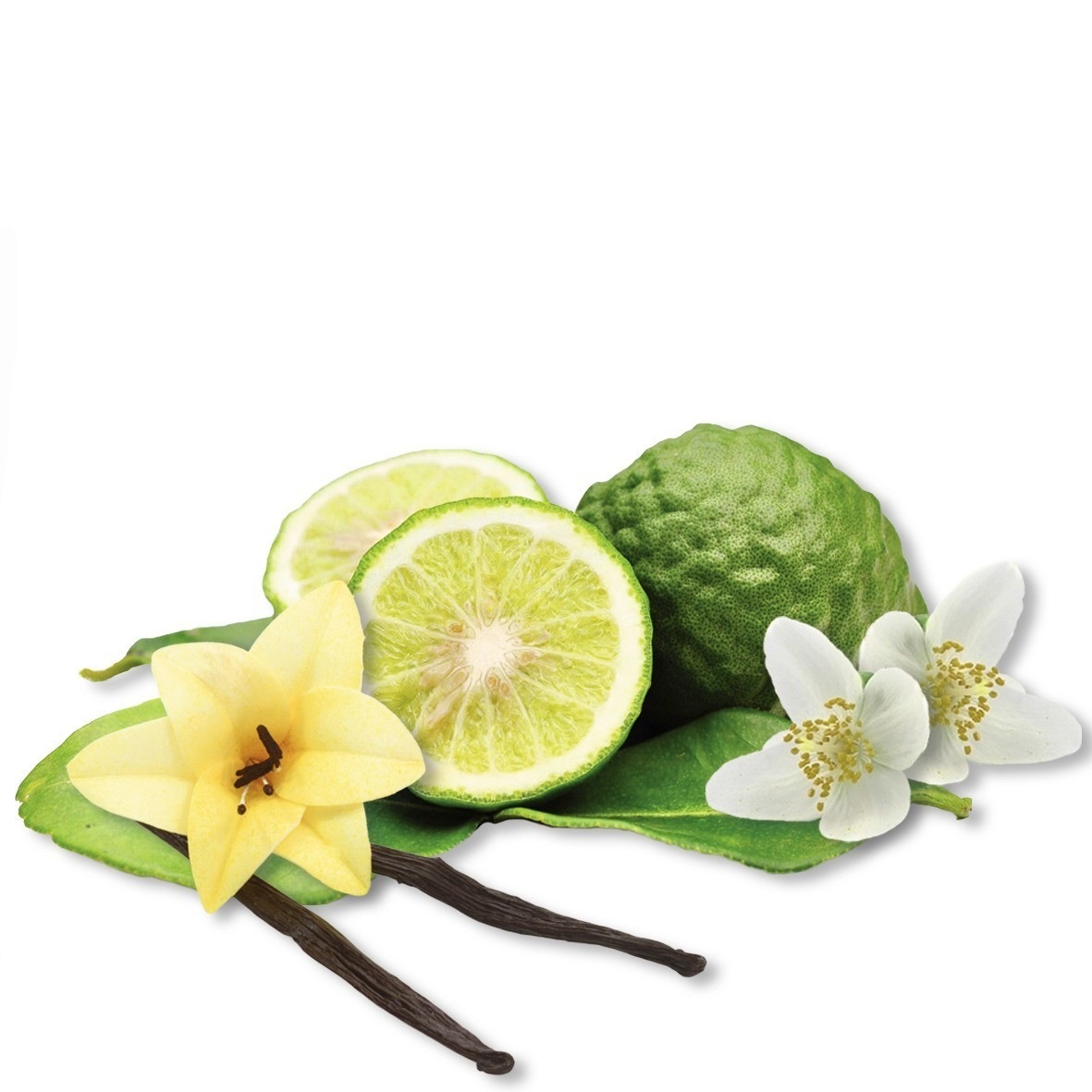 Root Activating Serum