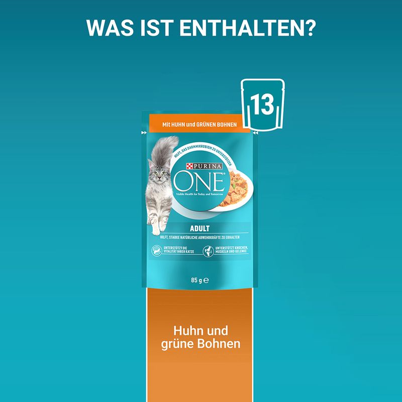 PURINA ONE Adult mit Huhn & grünen Bohnen