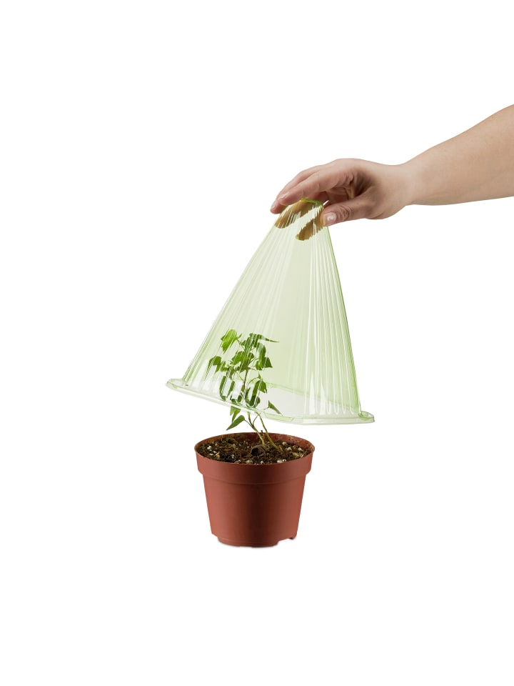 relaxdays 24x Pflanzenhut in Grün günstig kaufen onesize