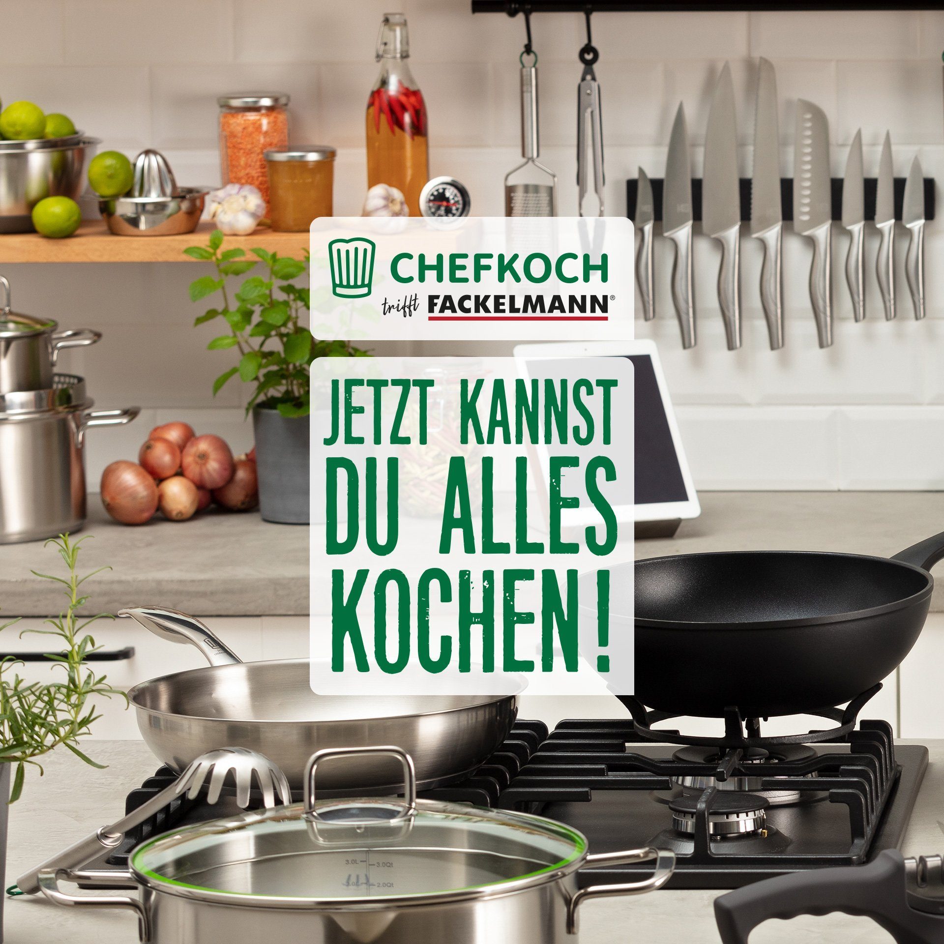 Chefkoch trifft Fackelmann Zitruspresse