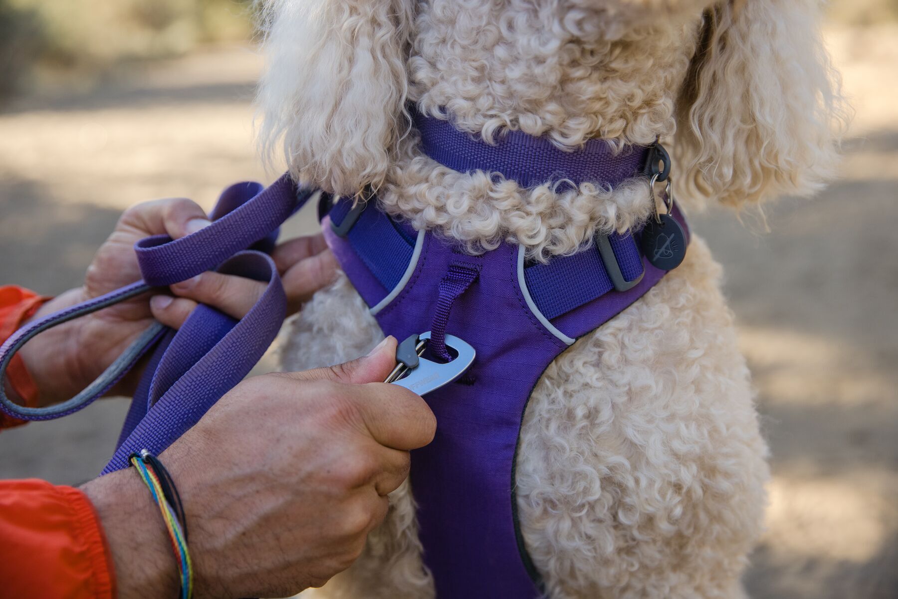 Ruffwear Hundeleinen Ruffwear Front Range™ Leine violett