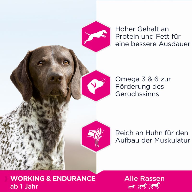 Eukanuba Daily Care Working & Endurance Adult