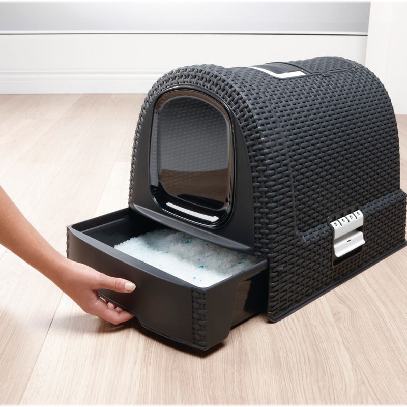 Eco-Friendly Curver Katzentoilette zu TOP-Preisen