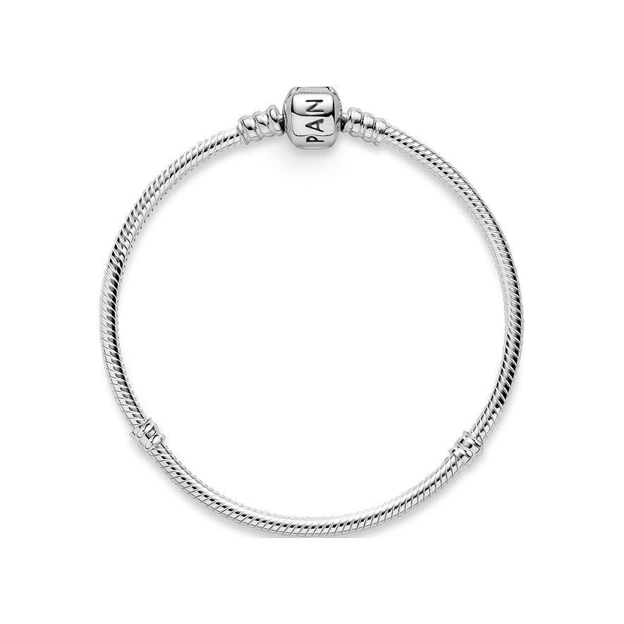 Pandora Armband Moments