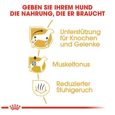 Royal Canin Dachshund Adult