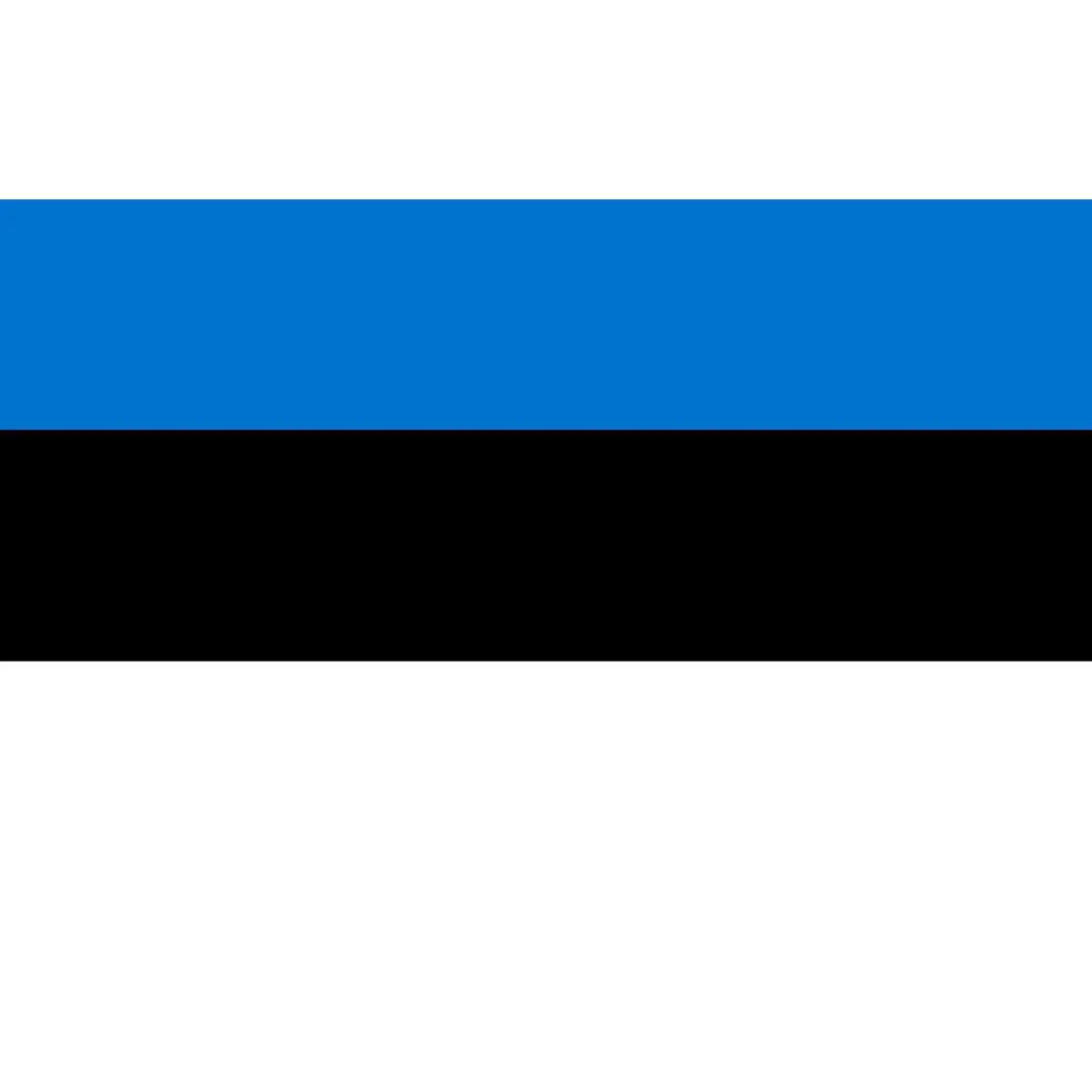 Flagge / Fahne Estland