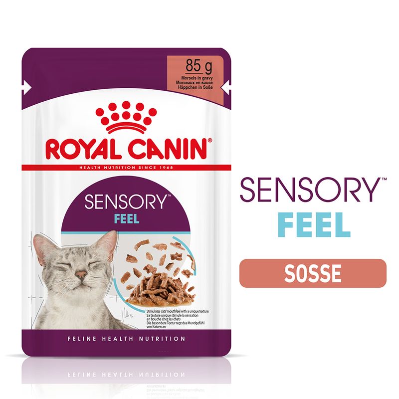 Royal Canin Sensory Feel in Soße zu TOP-Preisen