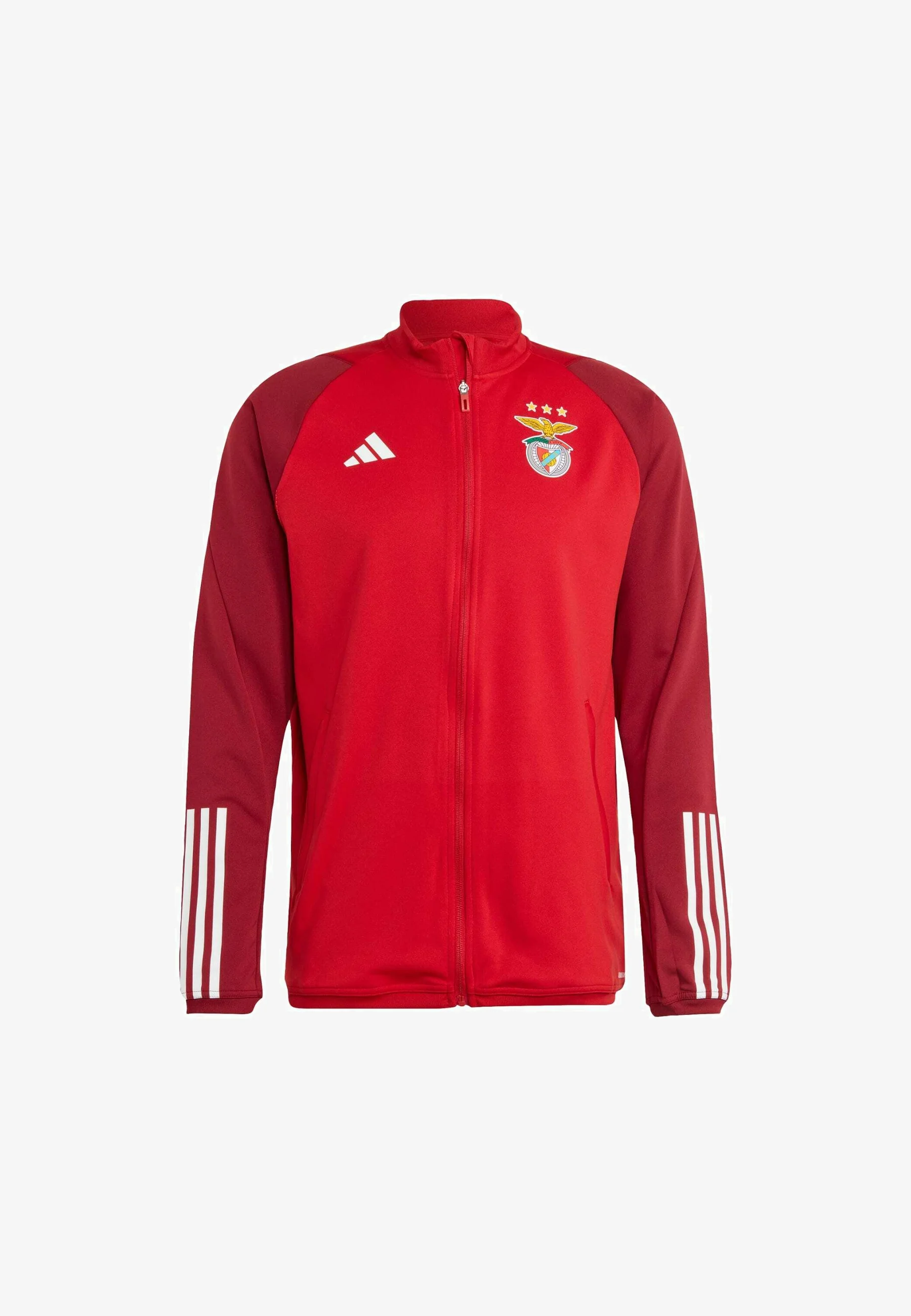 adidas Performance BENFICA TIRO 23 - Selección Nacional