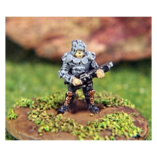 Marian Regular Infantry