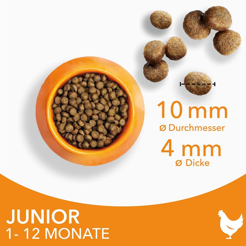 IAMS Advanced Nutrition Kitten mit Frischem Huhn