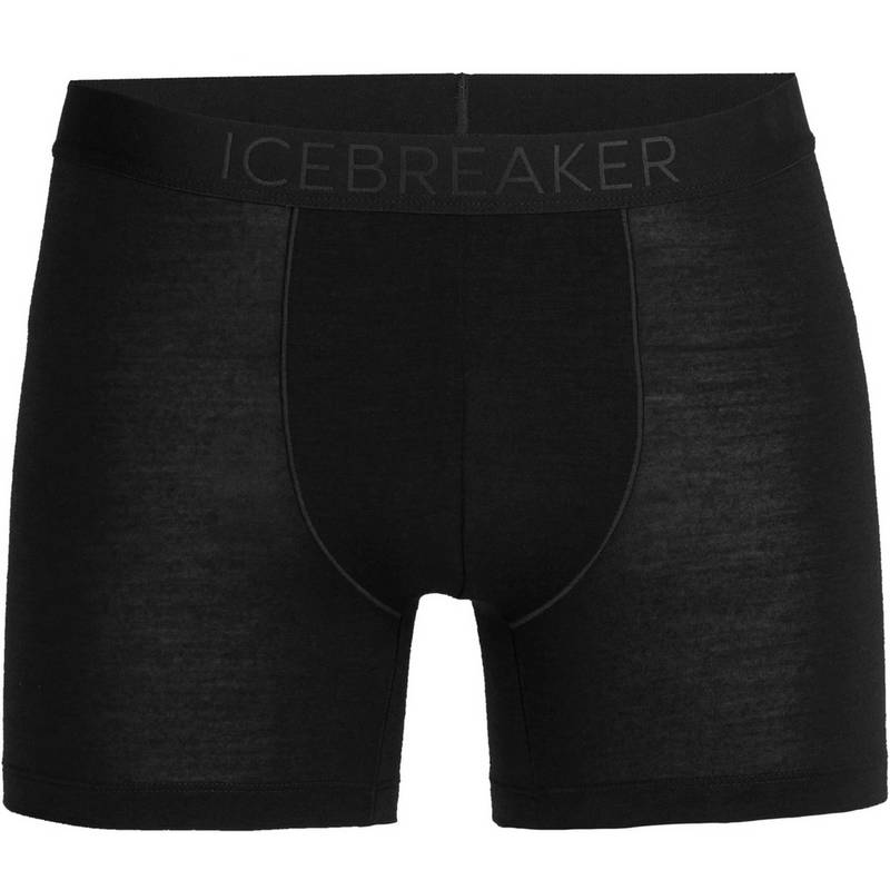 Icebreaker Anatomica Unterhose Herren