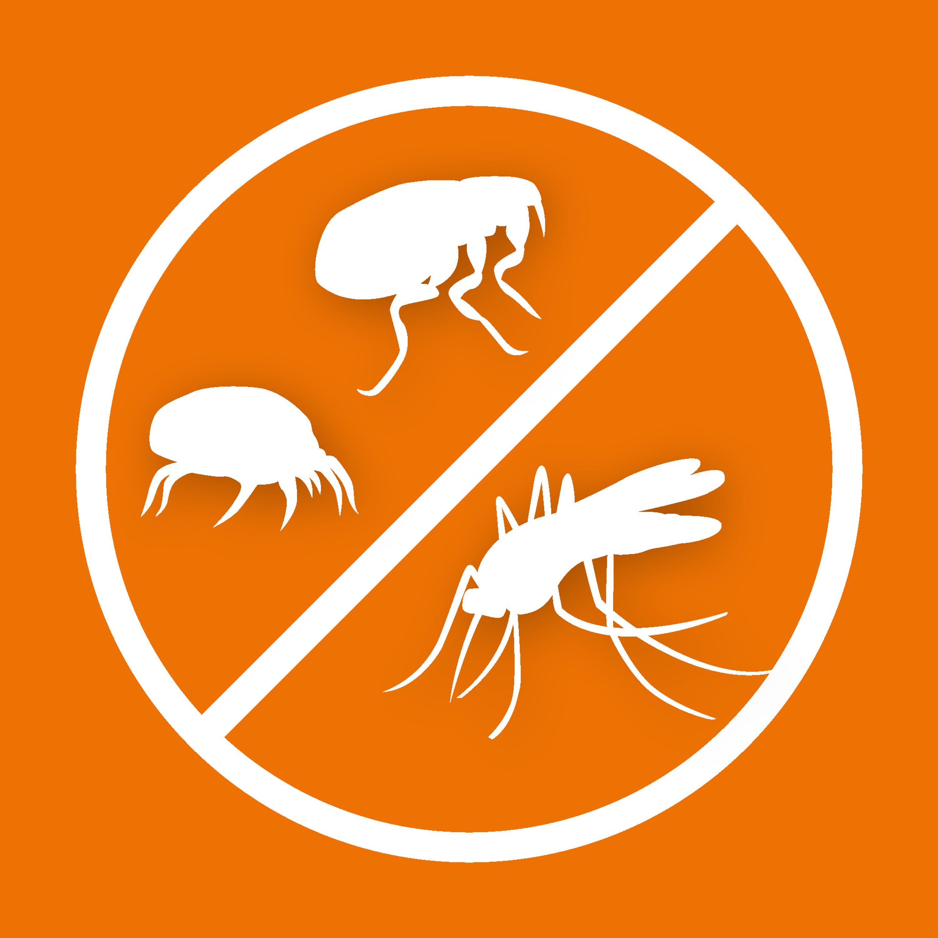 Ardap Insektenspray ARDAP® Fogger 200ml