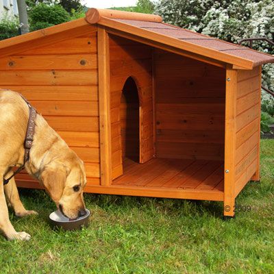 Hundehütte Spike Special