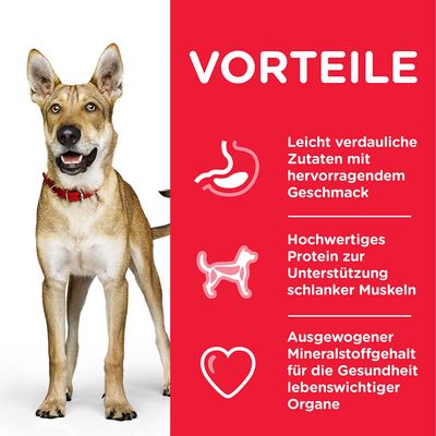 Hill's Science Plan Adult 1+ Performance mit Huhn