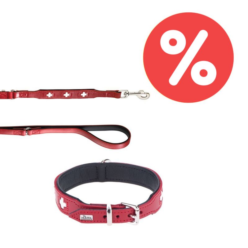 Sparset HUNTER Hundeleine + Halsband Swiss