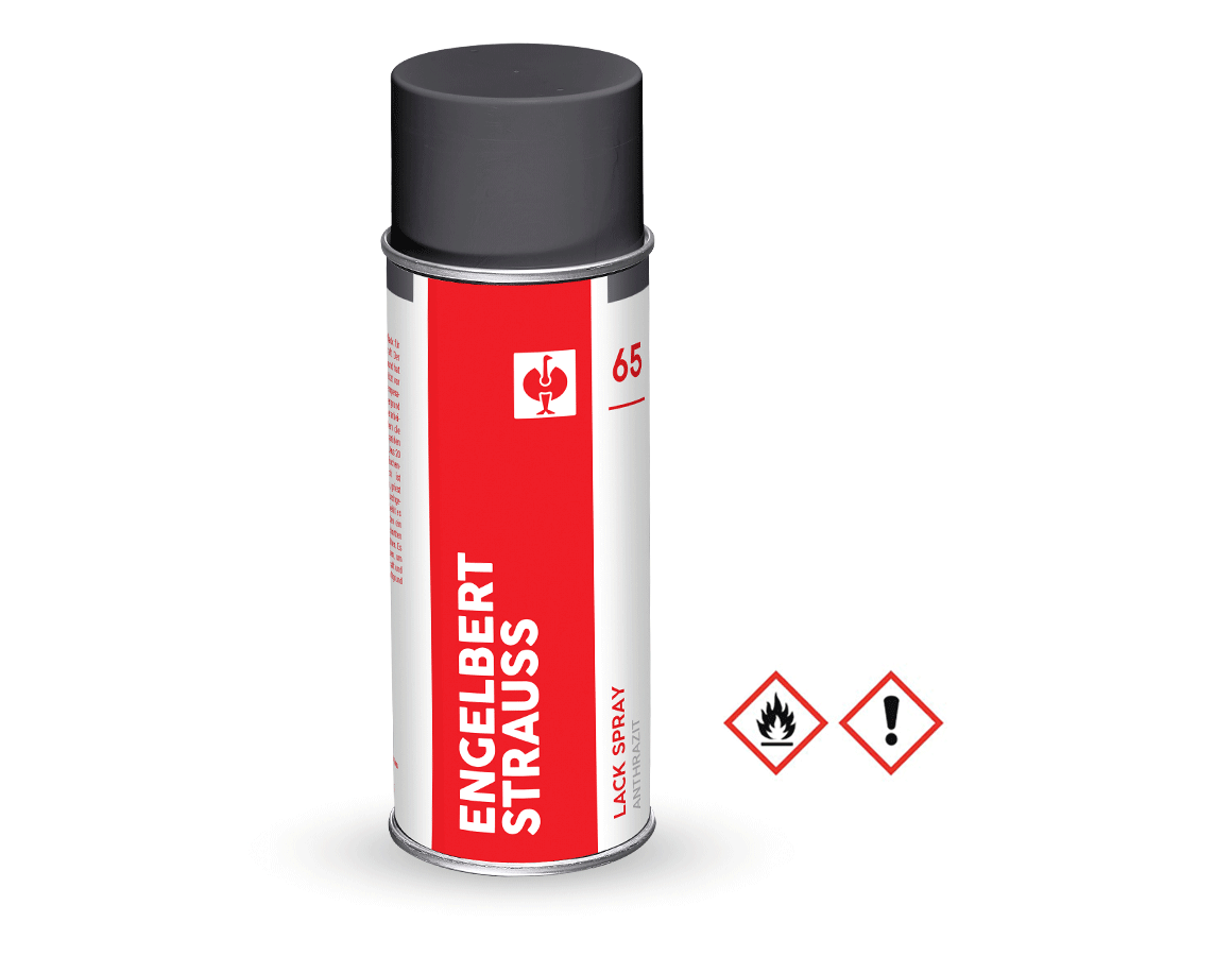 e.s. Lackspray #65