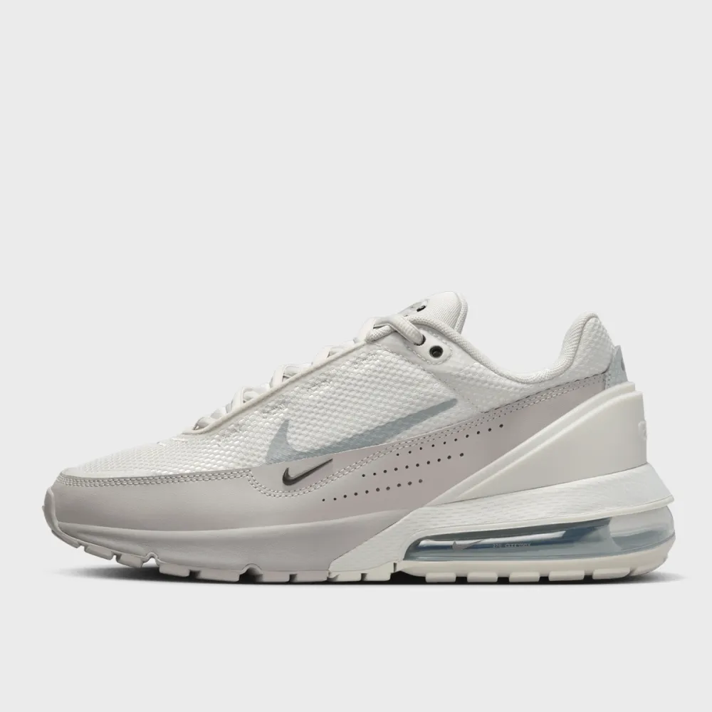 Nike Air Max Pulse FN7459-002 / grau