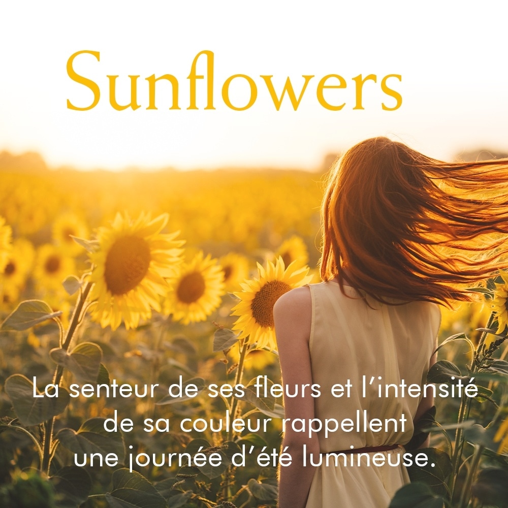 Elizabeth Arden Sunflowers Eau de Toilette