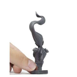Pisces Bust