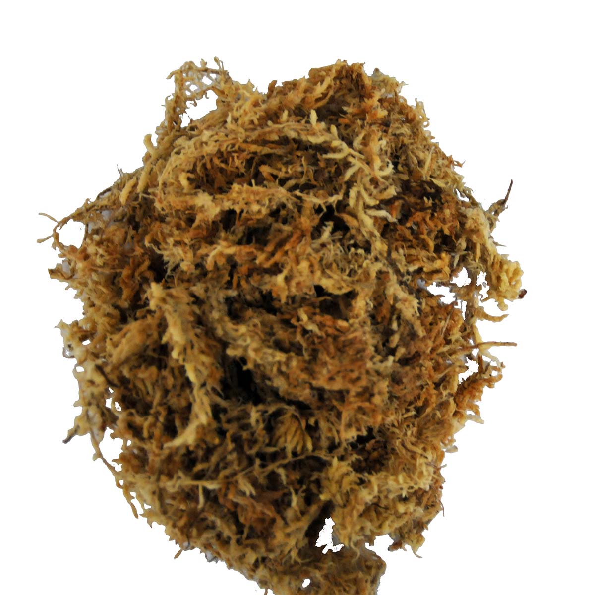 Lucky Reptile Sphagnum Moos 100g günstig kaufen