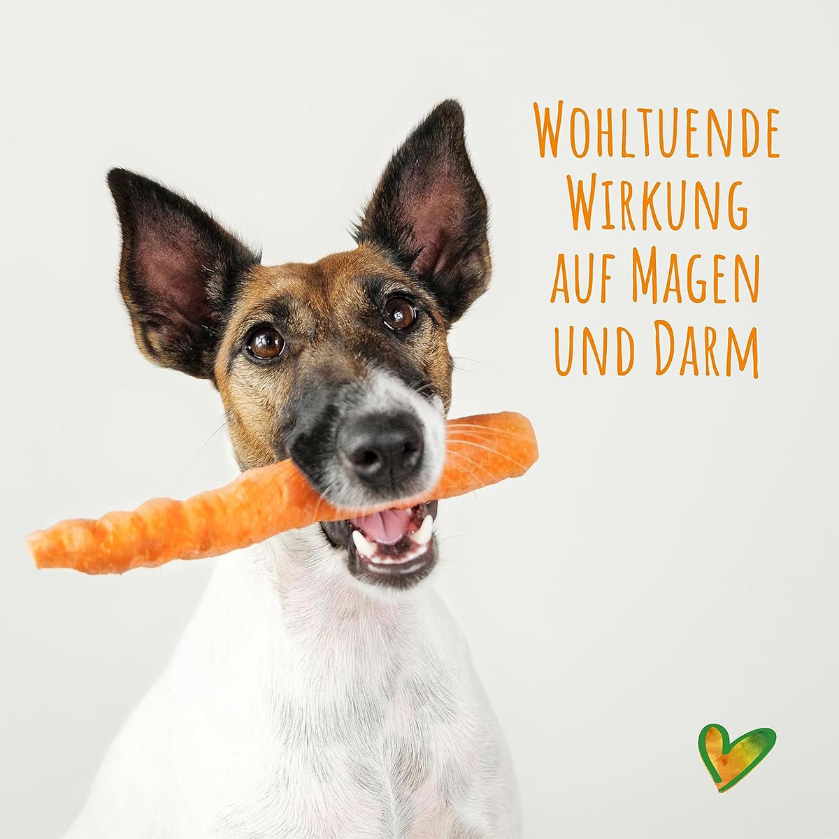 SmoothieDog Morosche Karottensuppe günstig kaufen bei ZooRoyal