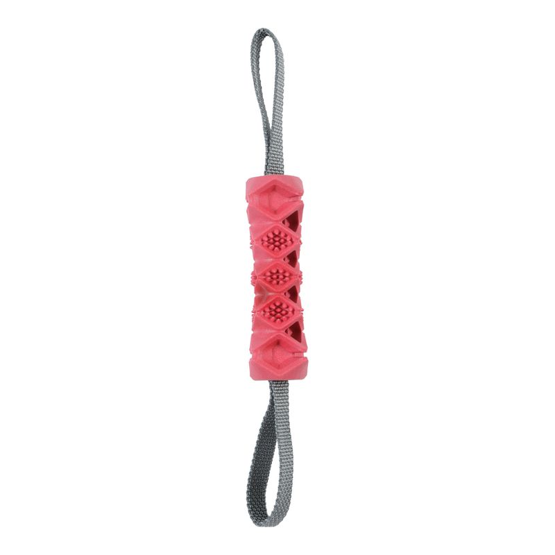Zolux Outdoor Kau-Knochen Terra zu TOP-Preisen