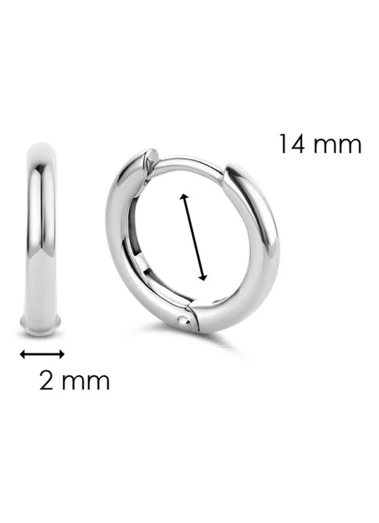 TI SENTO - Milano Silver Earrings 7812SI