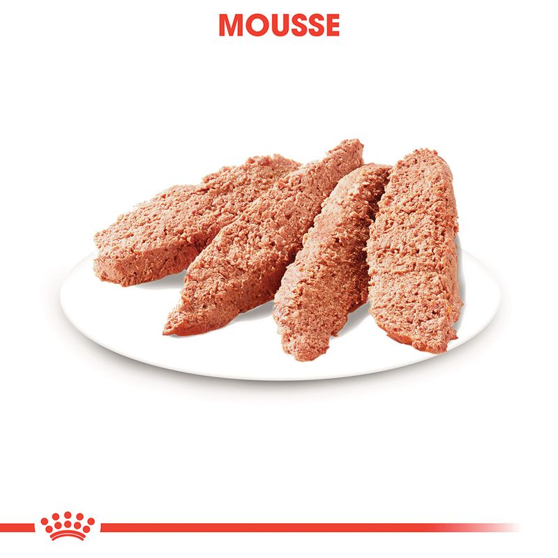 Royal Canin Urinary Care Mousse