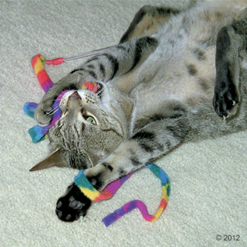 Katzenangel Cat Charmer zu TOP-Preisen
