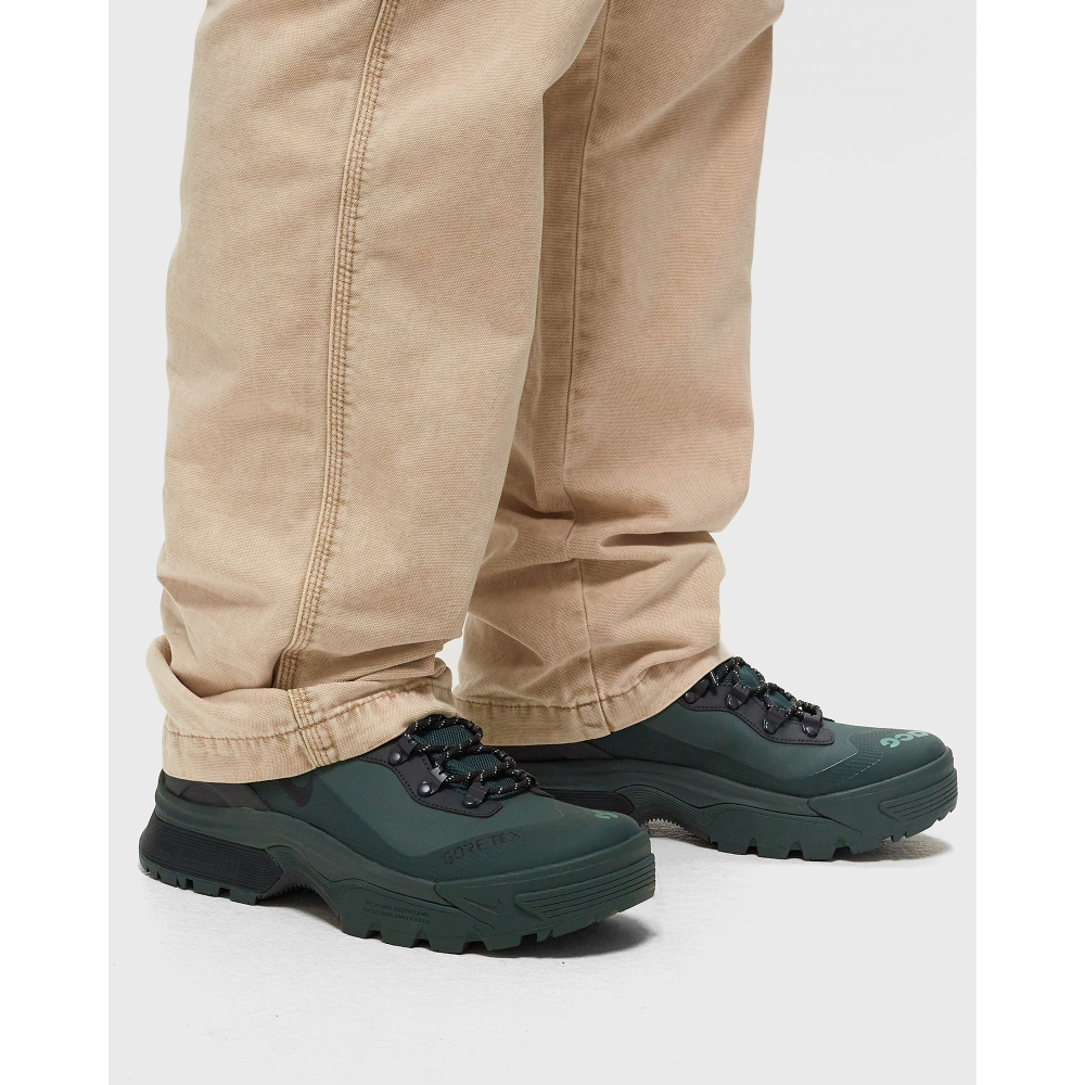 Nike ACG Air Zoom Gaiadome TEX GORE DD2858-300 / grün