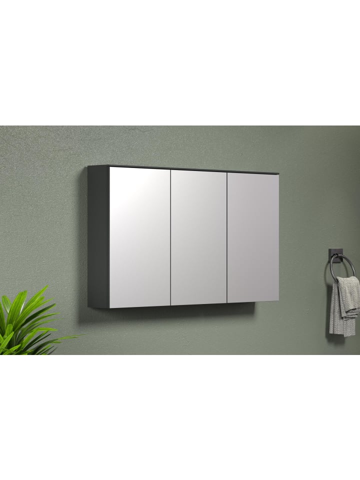 ebuy24 Spiegelschrank Synnax Grau 120 x 17 cm günstig kaufen onesize